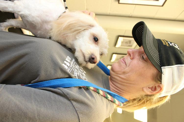 Vanilla after grooming