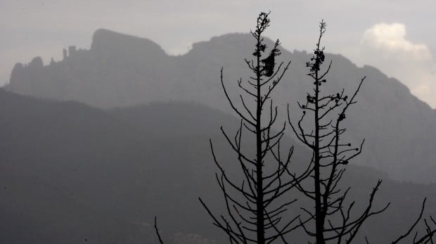 After the fire at Chiricahua National Monument