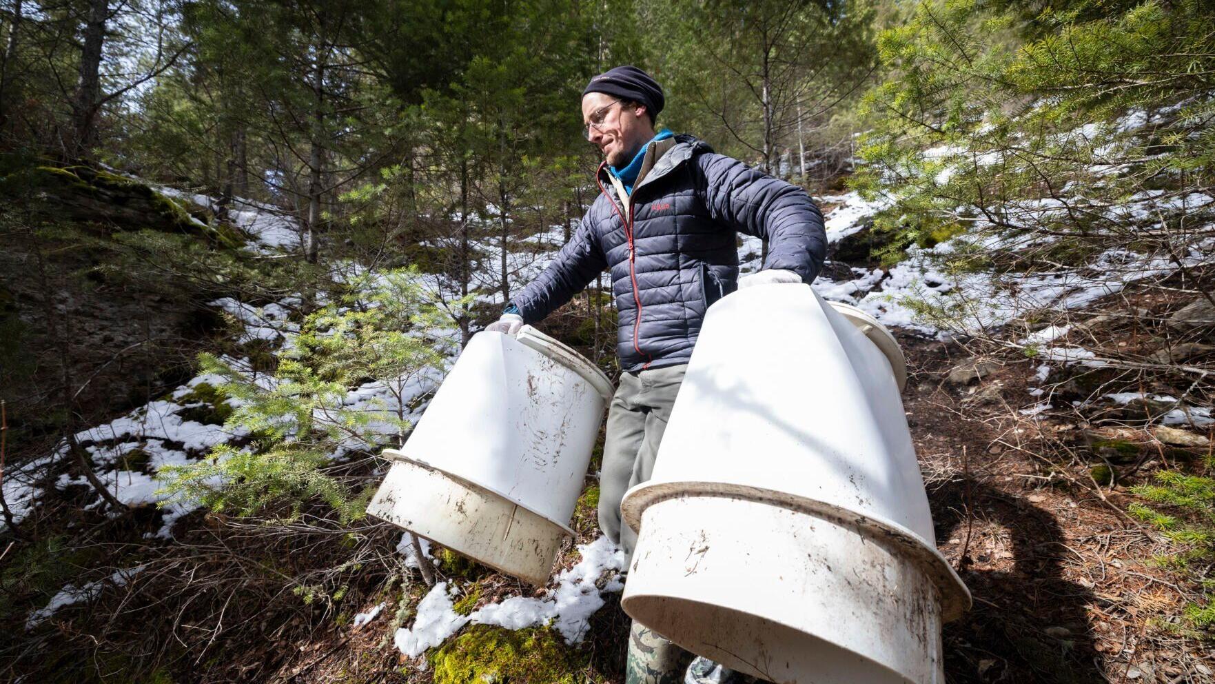 Smith River pit toilets have been removed for good - Vimarsana News