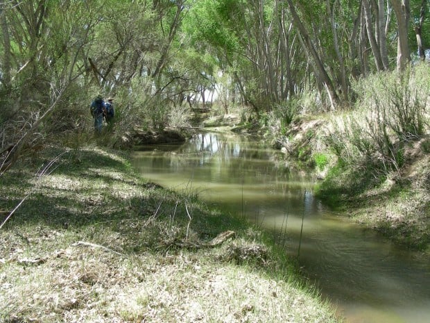 San Pedro River 