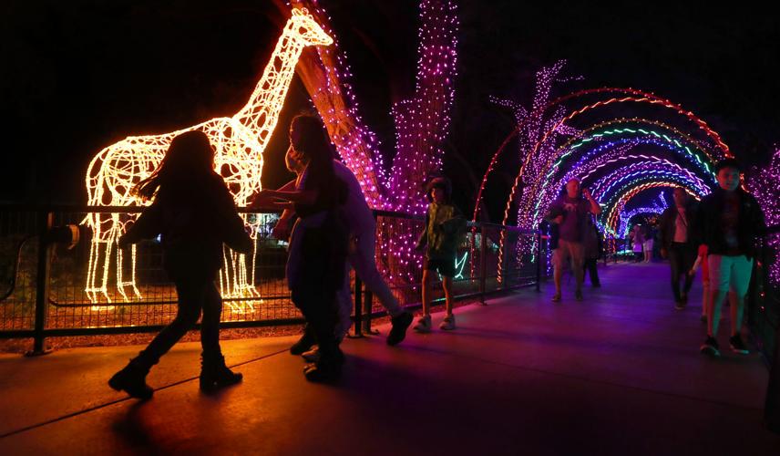 Así se vive la Navidad en el Raid Park Zoo. Galería de fotos ZooLights
