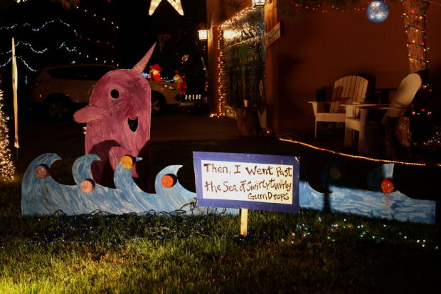 Winterhaven Festival of Lights 2013