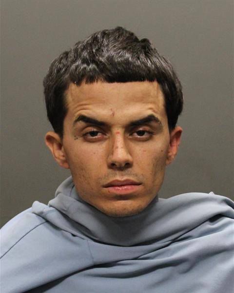 Mug shots 2017