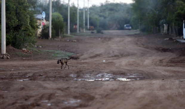 Toxic contamination of Rio Sonora