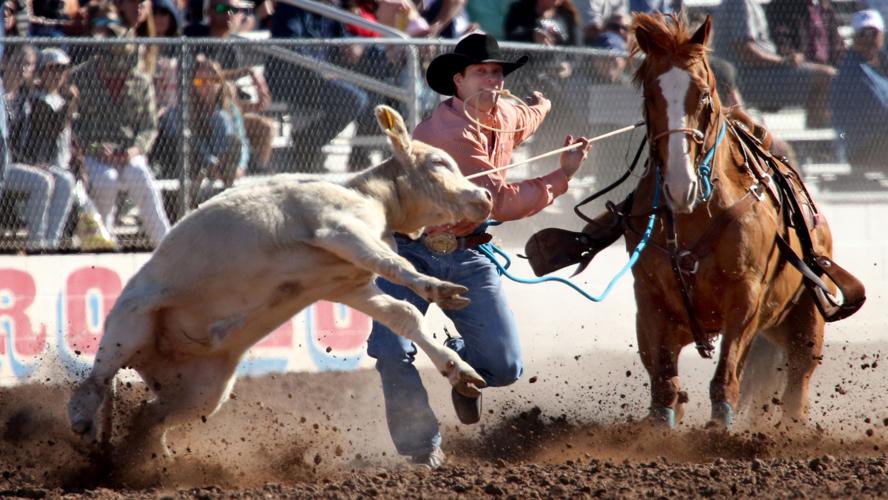 Tucson Rodeo