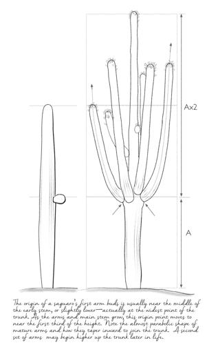 The Sonoran Desert: A Literary Field Guide