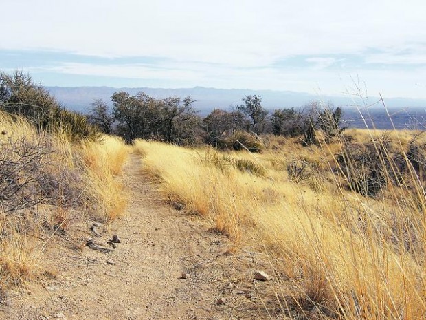 Enjoy trail named for Buffalo Bill  