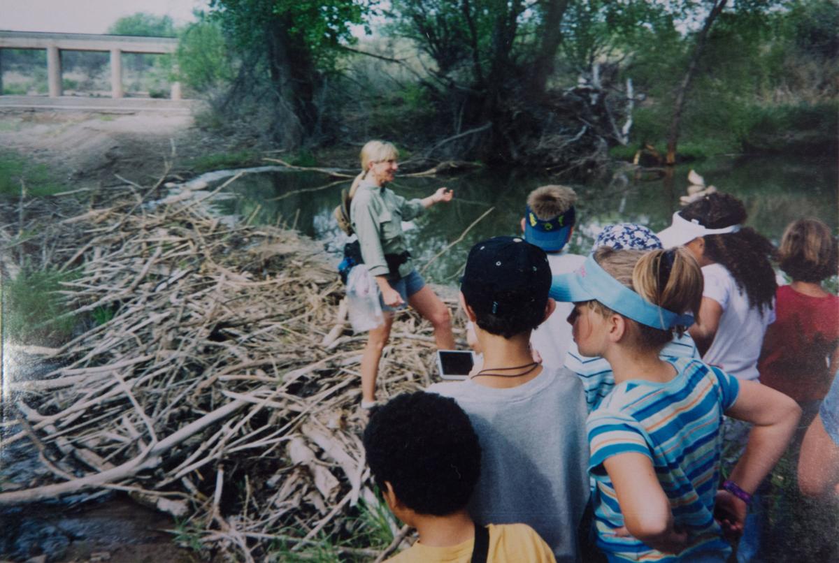 Beavers on the San Pedro River