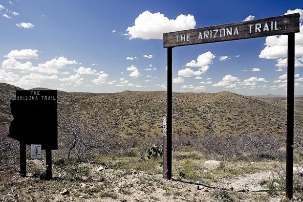 Tiny Mammoth has some big growth plans  