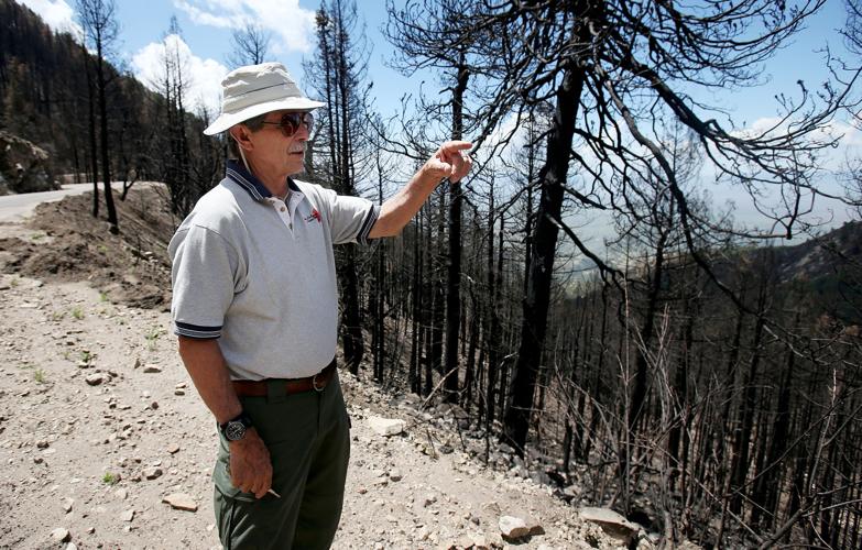 Frye Fire recovery on Mt. Graham
