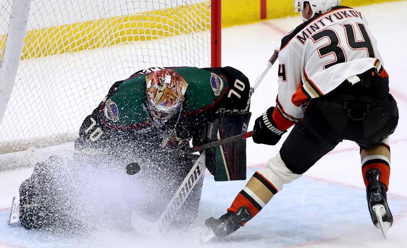 Anaheim vs Coyotes, NHL pre-season (copy)