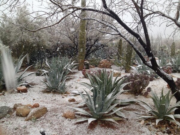 Snowfall around Tucson