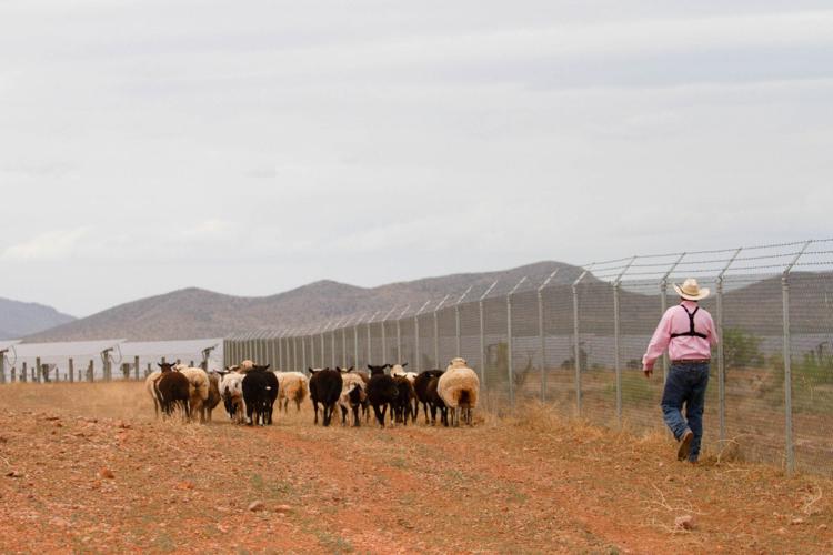 Livestock landscaping