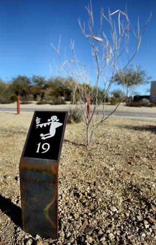 Memorial trees take root    