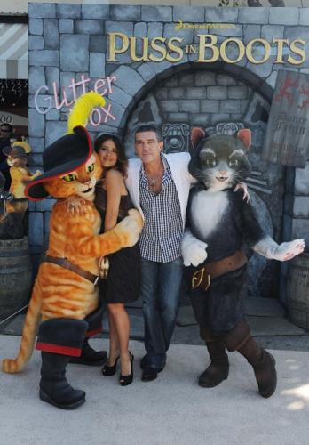 'Puss in Boots' no 'Shrek' sequel   