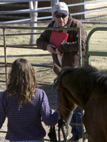 Dean tries to bring University of Arizona a new breed of vet school    