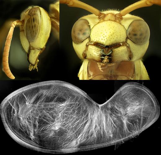 University of Arizona: The Art of Science