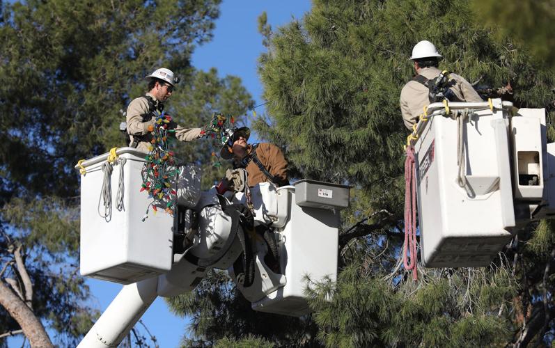 Lights go up in Winterhaven (copy)