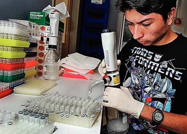 Youths plunge into serious study of DNA at advanced UA laboratory  