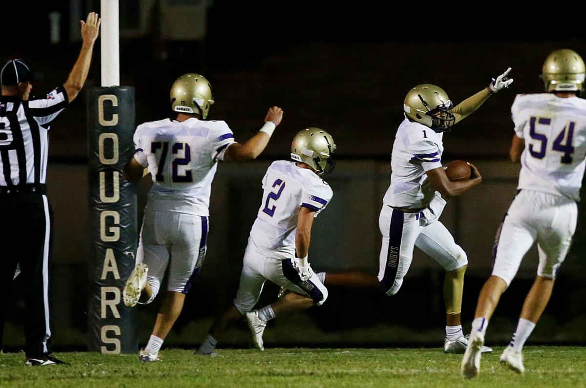 Sabino vs. Sahuaro