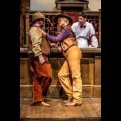 Luck be an "Arizona Lady"