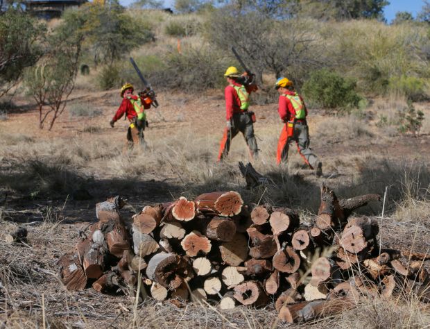 Fire danger in Oracle has officials pushing for better protection for homes