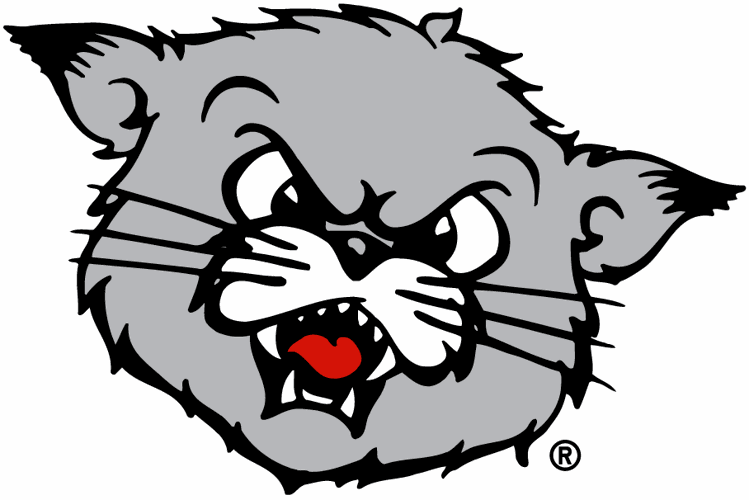 10. CINCINNATI (500 Points)