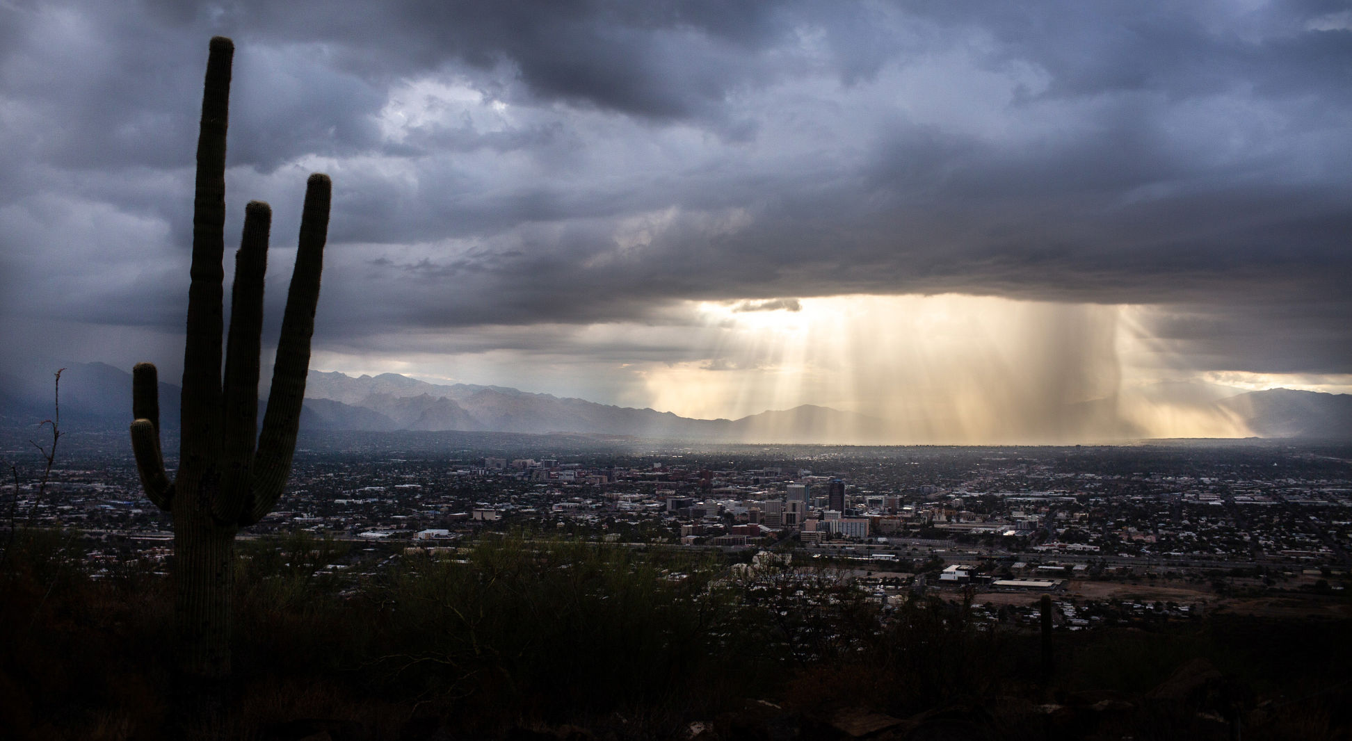 Study suggests Tucsons miserable monsoon might not be your fault picture