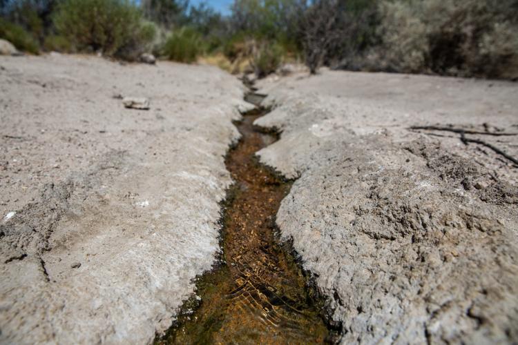 Quitobaquito Springs