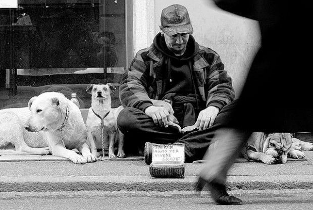 In Rome, monitors champion animal rights  
