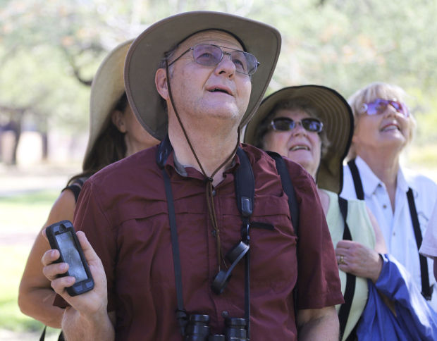 Wake up with the birds