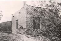 Saguaro National Park