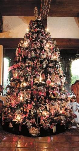 Not pining for a tree  