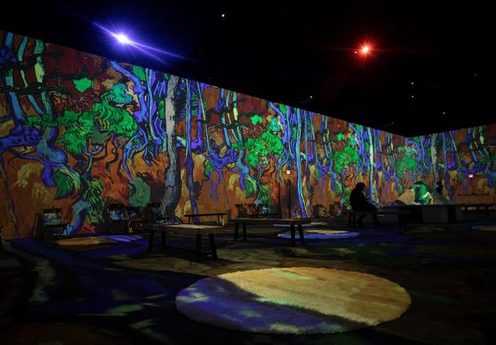 Van Gogh: The Immersive Experience, 2023