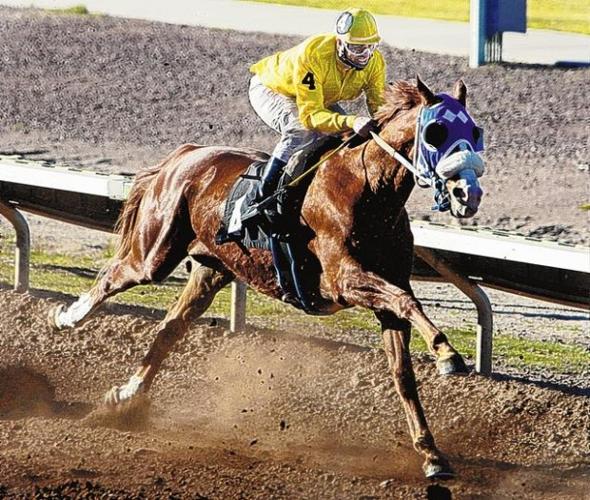 More fun when it's your horse racing  