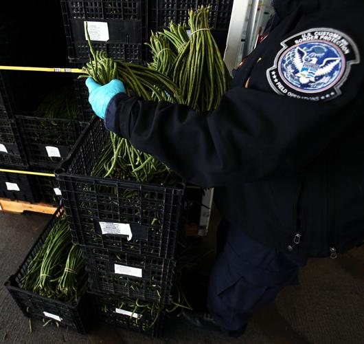 Mariposa Port of Entry