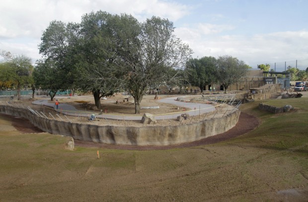 Zoo plans to split elephants in return for breeding herd   