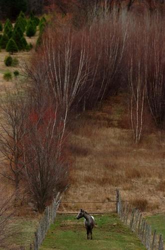 Animal shots of the week