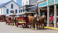 Family travel 5: Last-minute trips