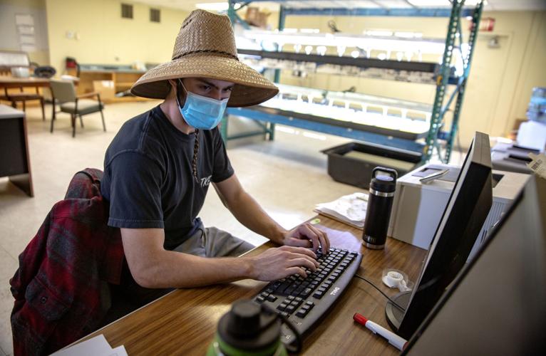 Merchant's Garden, Tucson