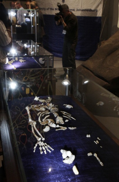 Fossils could prove to be evolutionary milestone   