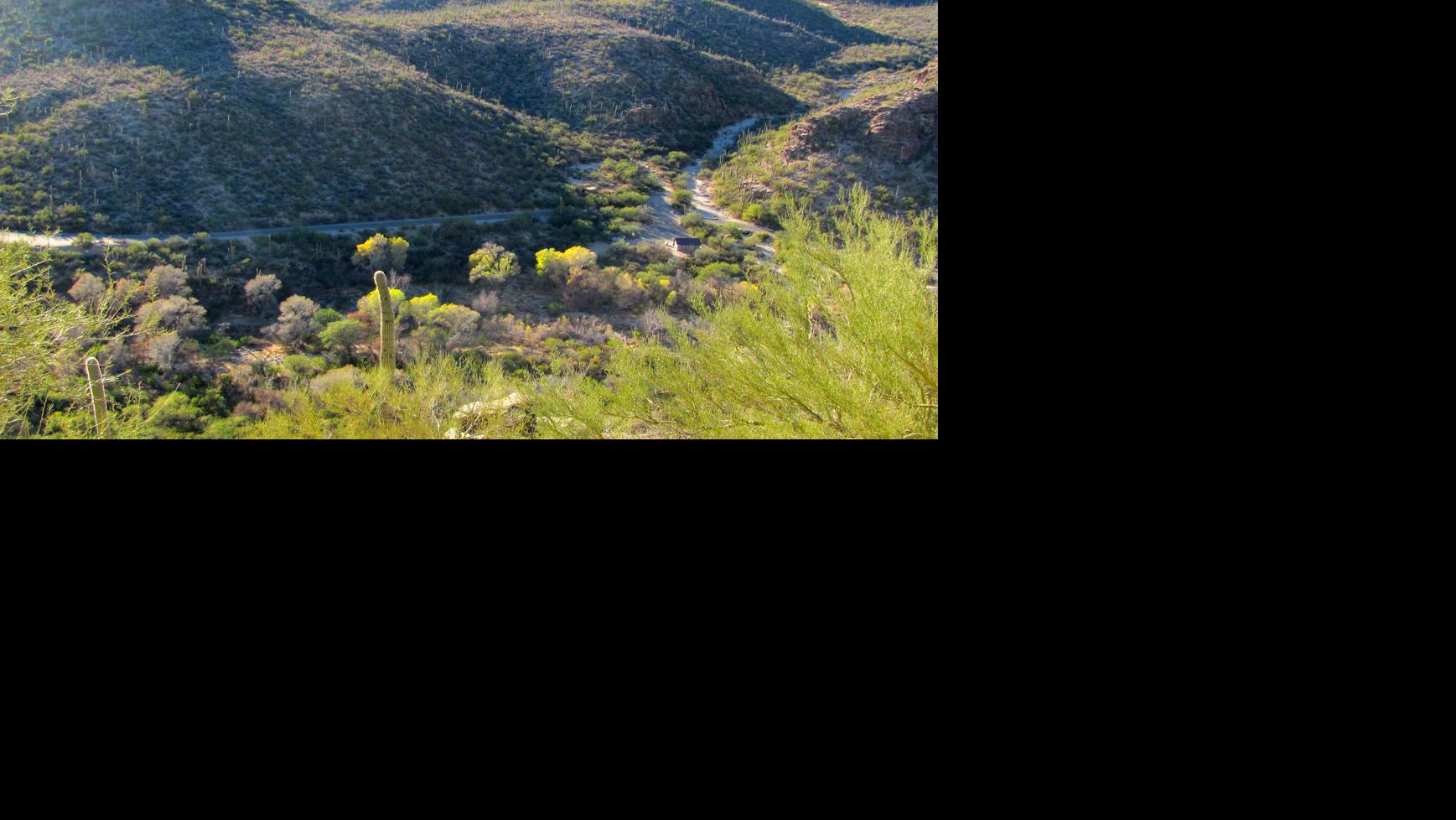 Tucson weather Above average temperatures return to the region