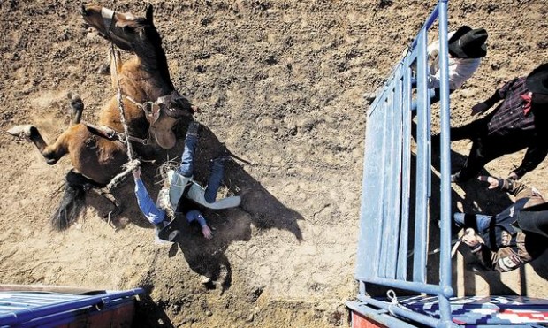 Cowboys need skill and a little luck  