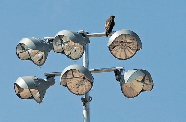 In Marana, a new place to play  