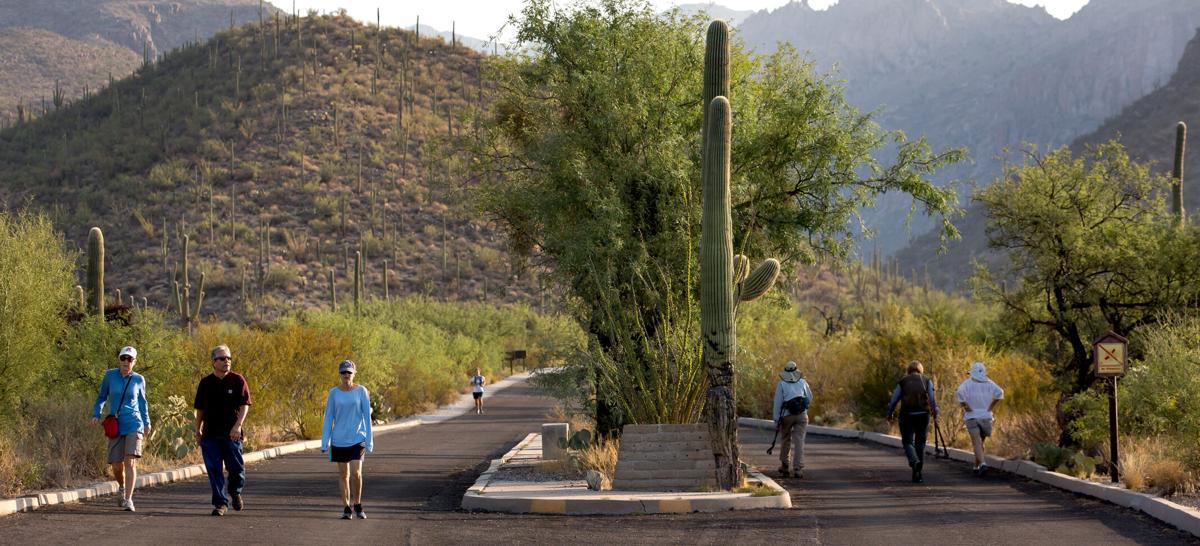 Sabino Canyon Recreation Area (LE)