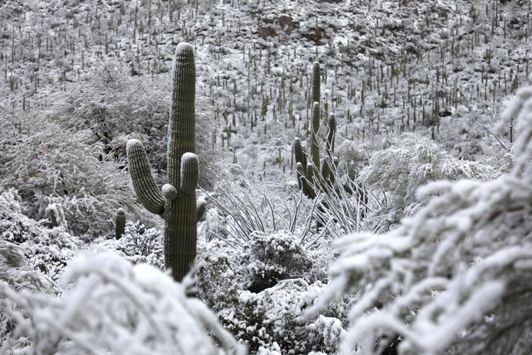 Snow, Tucson, 2023