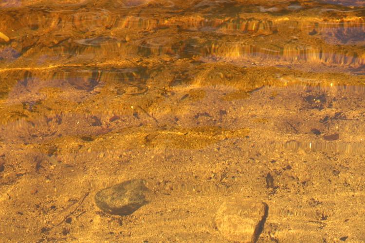 Mica and garnets at the bottom of Sabino Creek