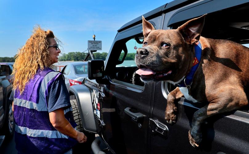 Golden Eagle Ferry a lifeline for commuters