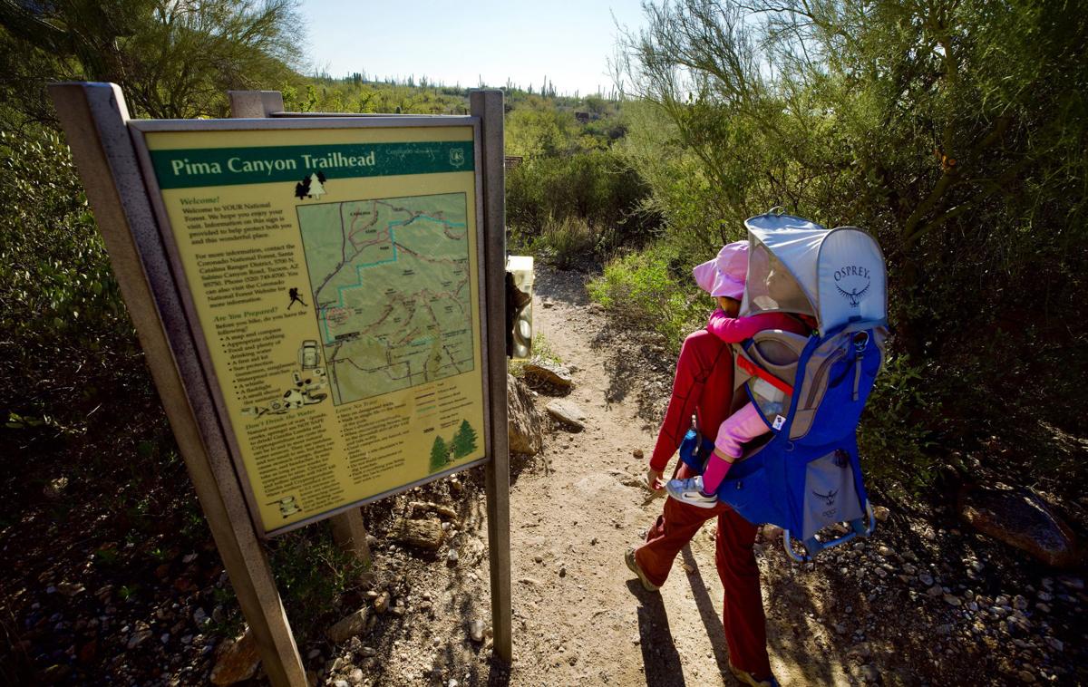 Pima Canyon Trail