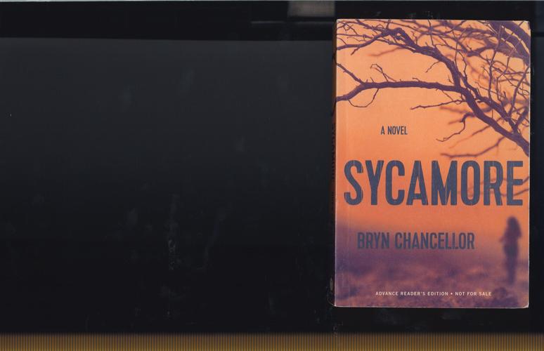 Sycamore